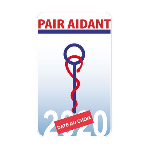 Caduceus health Care Aide sticker sticker