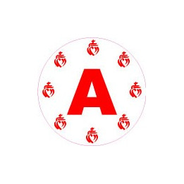 A jeune conducteur apprenti autocollant adhésif Vendée logo 87