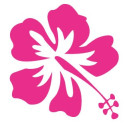 Hibiscus fleur hawaienne autocollant sticker logo 1