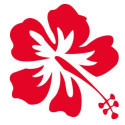 Hibiscus fleur hawaienne autocollant sticker logo 1