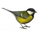 logo groland adesivo adesivo adesivo GRD