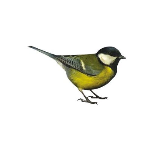 logo groland adesivo adesivo adesivo GRD
