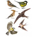 logo groland aufkleber kleber sticker GRD
