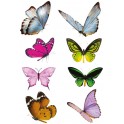 Set 8 papillons anti-collision ou décoratif autocollant adhésif sticker logo 926