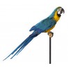 Perroquets Parrot autocollant adhésif sticker logo 1