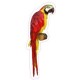Perroquets Parrot autocollant adhésif sticker logo 3