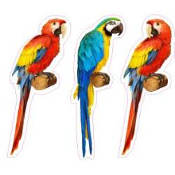 logo groland adesivo adesivo adesivo GRD