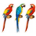 Set 3 Perroquets Parrot autocollant adhésif sticker logo 28