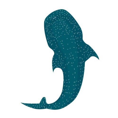 Requin Baleine autocollant adhésif sticker logo 764