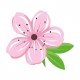 Fleur de sakura autocollant adhésif sticker logo 52