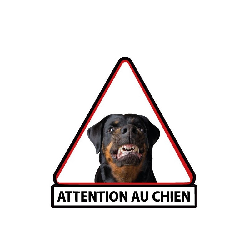 Panneau Autocollant "Attention Au Chien" Labrit Fauve, Résiste Pluie