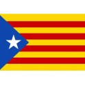 Etiqueta engomada de la senyera Estelada blava cataluña de la etiqueta engomada