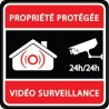 Etiqueta engomada de la propiedad bajo la vigilancia de vídeo de alarma logo n°8 de la etiqueta engomada