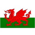 Sticker Flag Wales Wales Cymru sticker