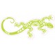 salamandre maori Lizard VERT logo 652 autocollant sticker