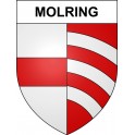 Pegatinas escudo de armas de Molring adhesivo de la etiqueta engomada