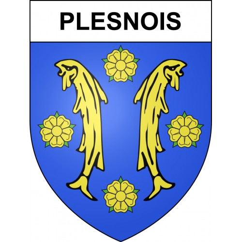 Plesnois 57 ville sticker blason écusson autocollant adhésif