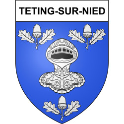 Teting-sur-Nied 57 ville sticker blason écusson autocollant adhésif
