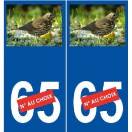 Grive numéro choix autocollant plaque sticker logo 2