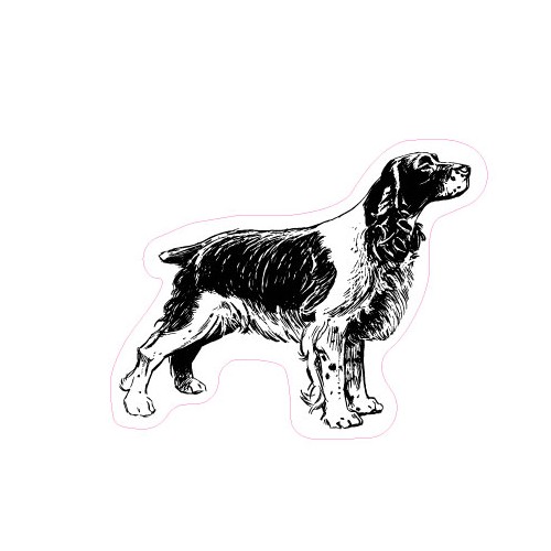 Autocollant Epagneul breton animal stickers adhesif logo02054