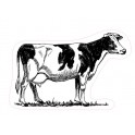 Autocollant Vache Holstein animal stickers adhesif logo88754