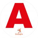Un giovane driver discente sticker adesivo Basco
