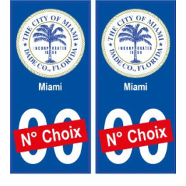 Miami USA ville Autocollant plaque immatriculation auto sticker numéro au choix sticker city