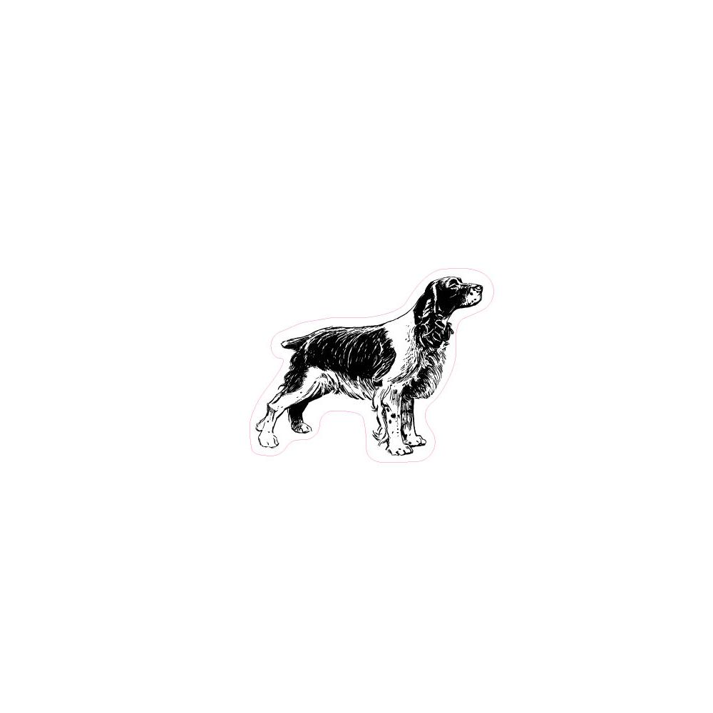 epagneul breton animal chien autocollant