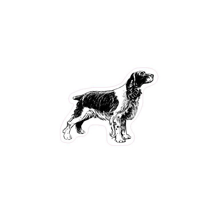 epagneul breton animal chien autocollant