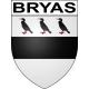 Adesivi stemma Bryas adesivo