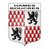 Pegatinas escudo de armas de Hames-Boucres adhesivo de la etiqueta engomada