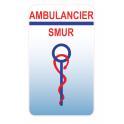 Caduceus health Care Aide sticker sticker