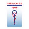 Caduceus health Care Aide sticker sticker