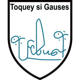 Febus Toquey Si Gauses ville sticker blason écusson autocollant adhésif 65663
