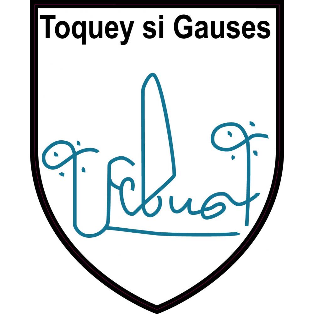 Febus Toquey Si Gauses ville sticker blason écusson autocollant adhésif 65663