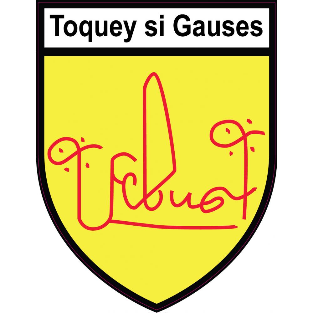 Febus Toquey Si Gauses blason écusson autocollant adhésif 6449