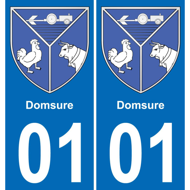 01 Domsure stemma adesivo piastra adesivi città