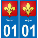 01 Verjon stemma adesivo piastra adesivi città