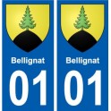 01 Bellignat ville autocollant plaque sticker