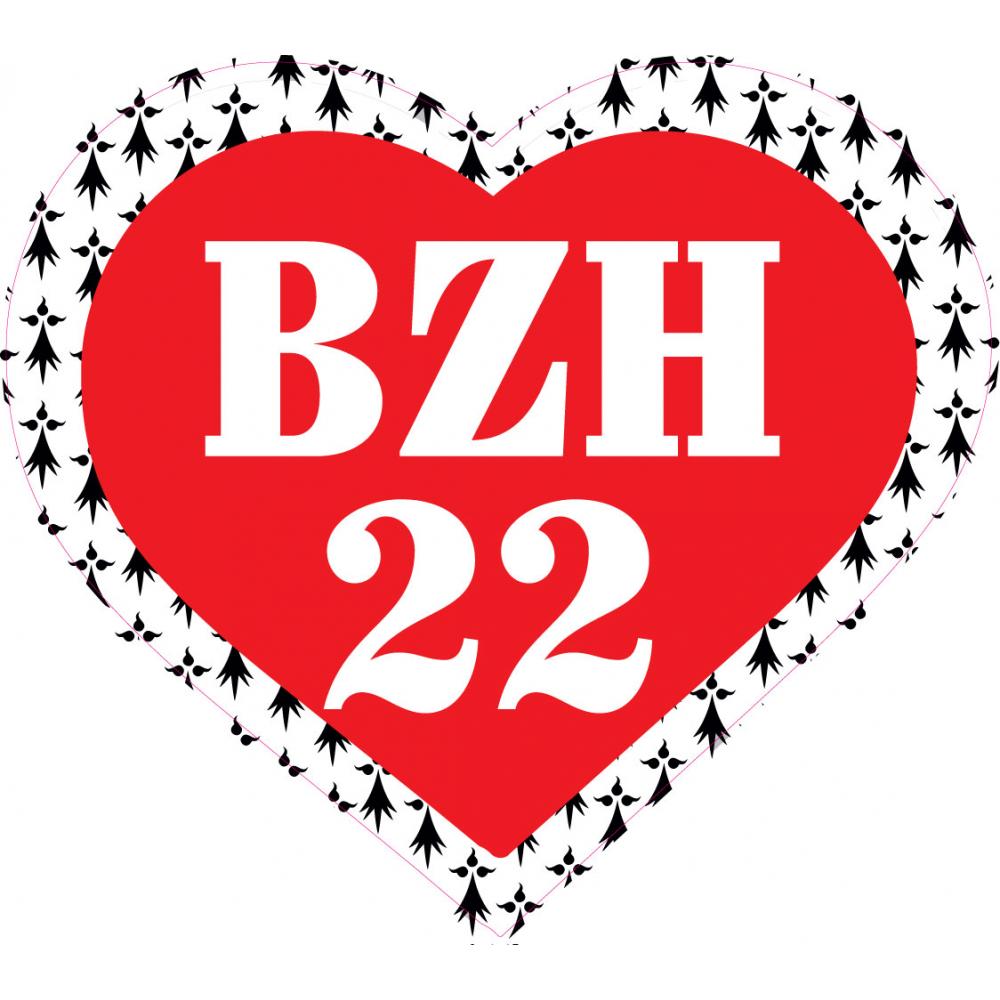 BZH 22 Côte d'Amour triskelle coeur drapeau Gwenn Ha Du Breizh Bretagne auto voiture support autocollant sticker logo387