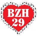 BZH 29 Finistère symbole breton coeur drapeau Gwenn Ha Du Breizh Bretagne auto voiture support autocollant sticker logo314