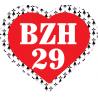 BZH 29 Finistère symbole breton coeur drapeau Gwenn Ha Du Breizh Bretagne auto voiture support autocollant sticker logo314