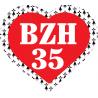 BZH 35 Ille-et-Vilaine symbole breton coeur drapeau Gwenn Ha Du Breizh Bretagne auto voiture support autocollant sticker logo826