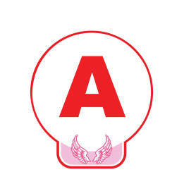 A fantaisie aile contour rose conduite jeune conducteur voiture sticker autocollant logo48