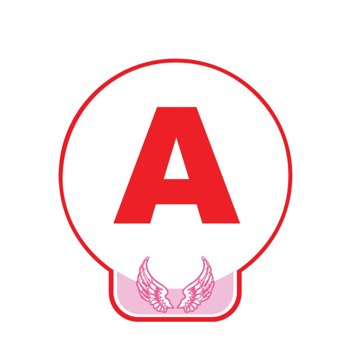 Sticker aufkleber begleitetes fahren auto baskischen hibiscus