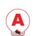 Adesivo sticker guida accompagnata auto basco hibiscus