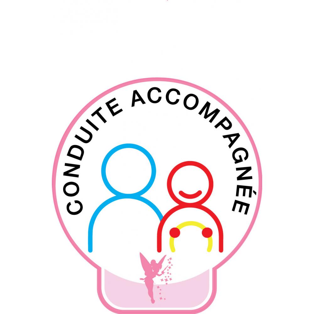 Sticker sticker accompanied driving car basque hibiscus