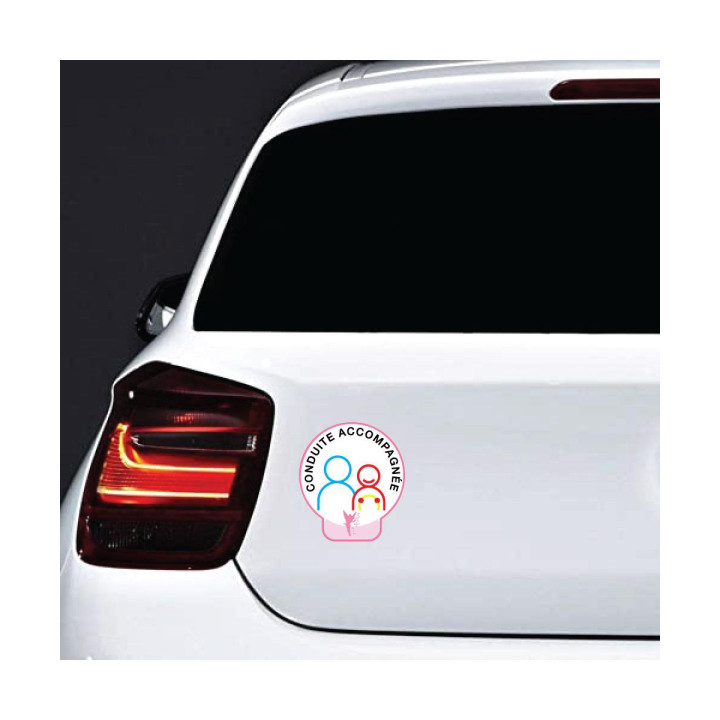 Sticker aufkleber begleitetes fahren auto baskischen hibiscus