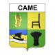 Came 64 ville sticker blason écusson autocollant adhésif