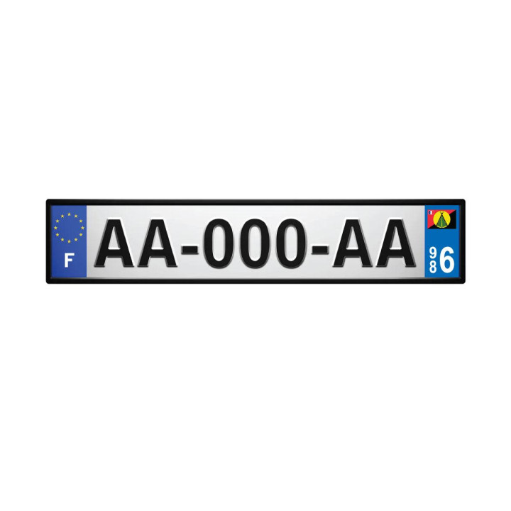 64 Pau logo sticker plate registration city